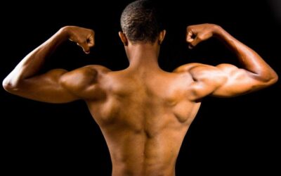 7 Things You Didn’t Know About Your Muscles