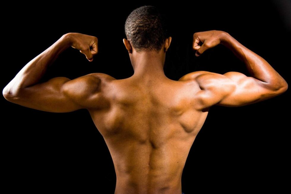 7 Things You Didn’t Know About Your Muscles
